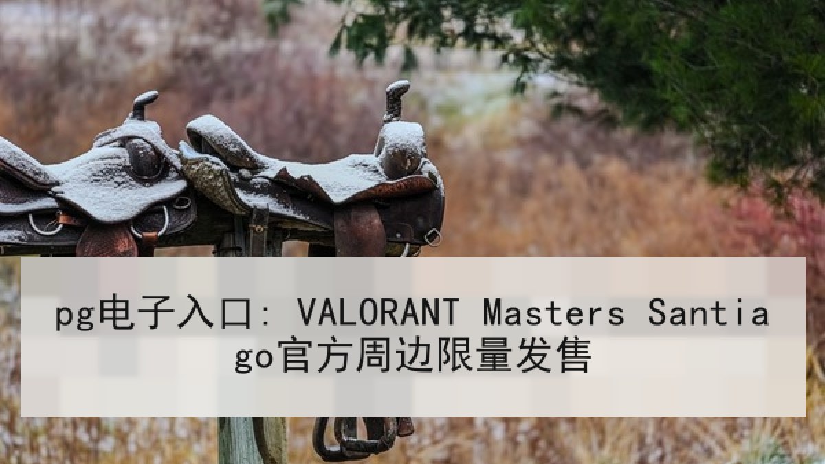 pg电子入口: VALORANT Masters Santiago官方周边限量发售 pg电子入口: VALORANT Masters Santiago官方周边限量发售