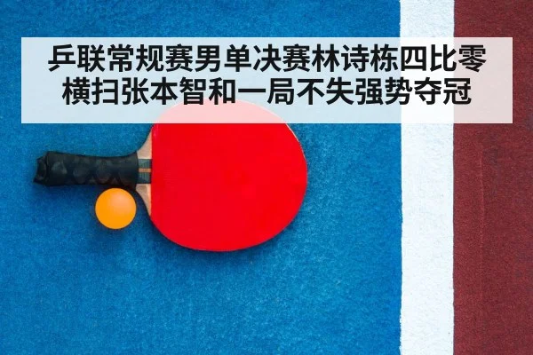table tennis racket close up