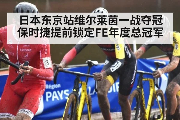 日本东京站维尔莱茵一战夺冠保时捷提前锁定FE年度总冠军